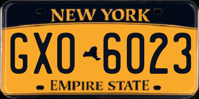 NY license plate GXO6023