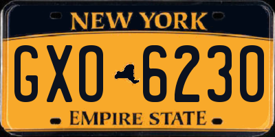 NY license plate GXO6230