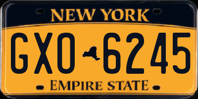 NY license plate GXO6245