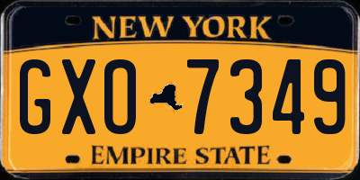 NY license plate GXO7349