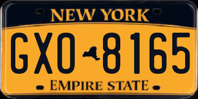 NY license plate GXO8165