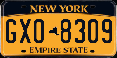 NY license plate GXO8309
