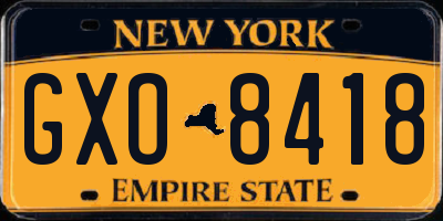 NY license plate GXO8418