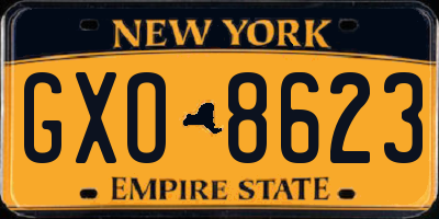 NY license plate GXO8623