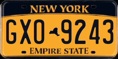 NY license plate GXO9243