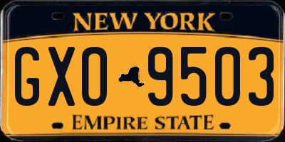 NY license plate GXO9503