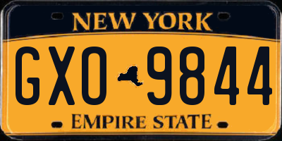 NY license plate GXO9844