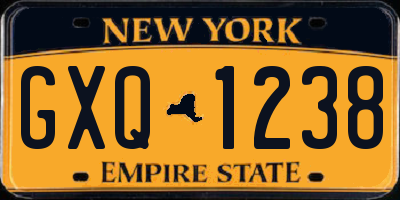 NY license plate GXQ1238