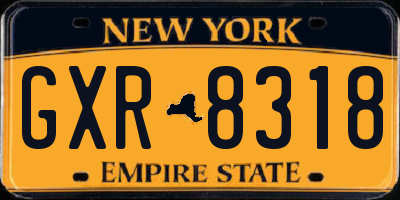 NY license plate GXR8318