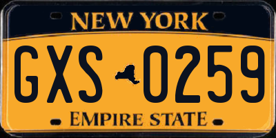 NY license plate GXS0259
