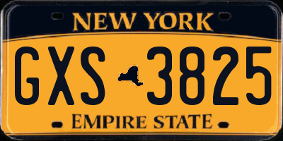 NY license plate GXS3825