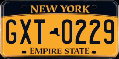 NY license plate GXT0229