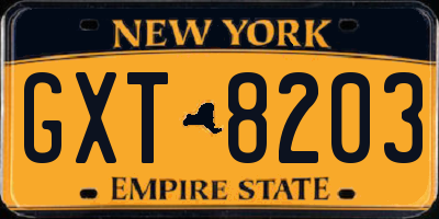 NY license plate GXT8203