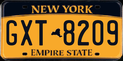 NY license plate GXT8209