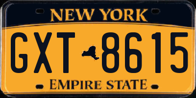 NY license plate GXT8615
