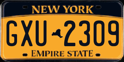 NY license plate GXU2309