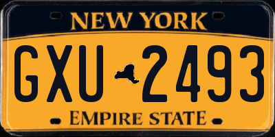 NY license plate GXU2493