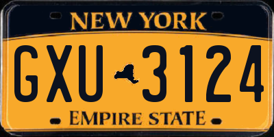 NY license plate GXU3124