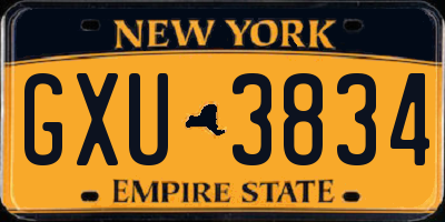 NY license plate GXU3834