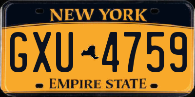 NY license plate GXU4759