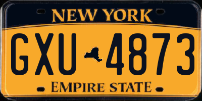 NY license plate GXU4873