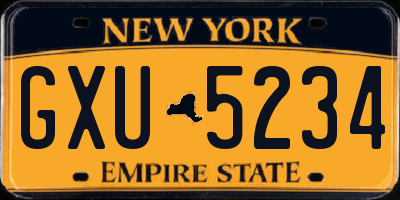 NY license plate GXU5234