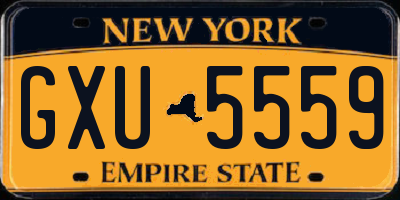 NY license plate GXU5559
