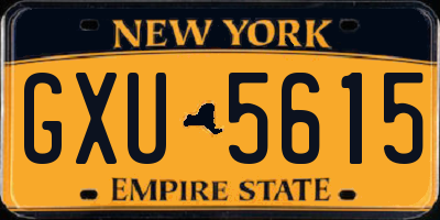 NY license plate GXU5615