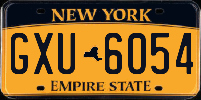 NY license plate GXU6054