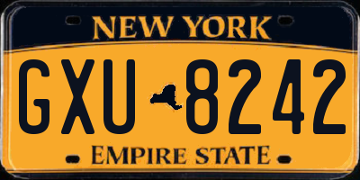 NY license plate GXU8242