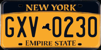 NY license plate GXV0230
