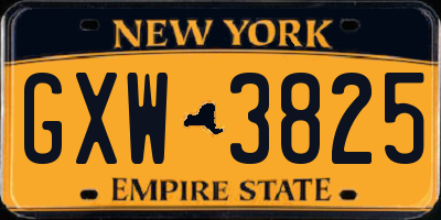 NY license plate GXW3825