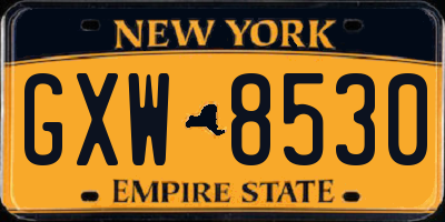 NY license plate GXW8530