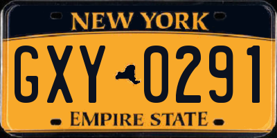 NY license plate GXY0291