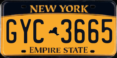 NY license plate GYC3665