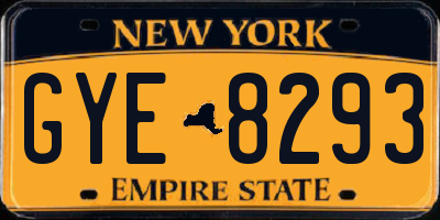 NY license plate GYE8293