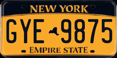 NY license plate GYE9875