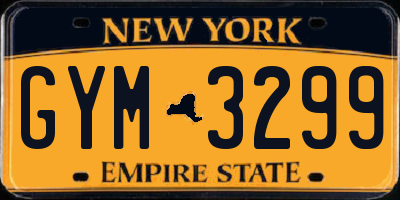 NY license plate GYM3299