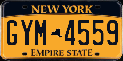 NY license plate GYM4559