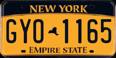 NY license plate GYO1165