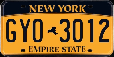 NY license plate GYO3012