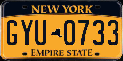 NY license plate GYU0733