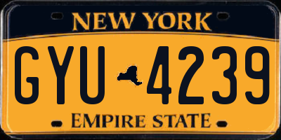 NY license plate GYU4239
