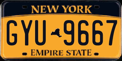 NY license plate GYU9667