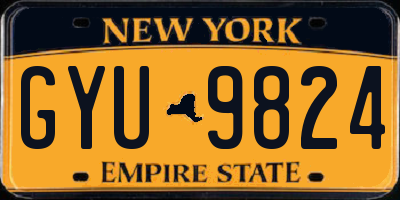 NY license plate GYU9824