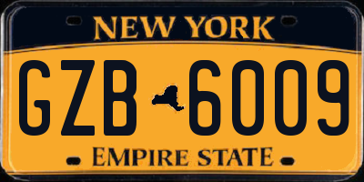 NY license plate GZB6009