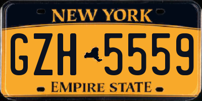 NY license plate GZH5559