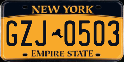NY license plate GZJ0503