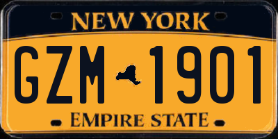 NY license plate GZM1901