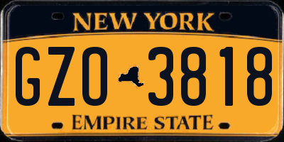 NY license plate GZO3818